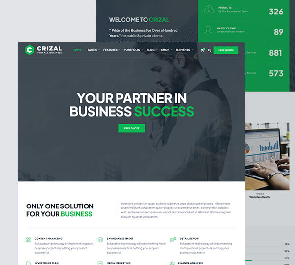 Multipurpose Responsive Template + Admin